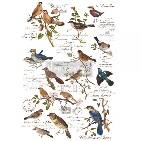 Postal Birds Redesign with Prima transfer